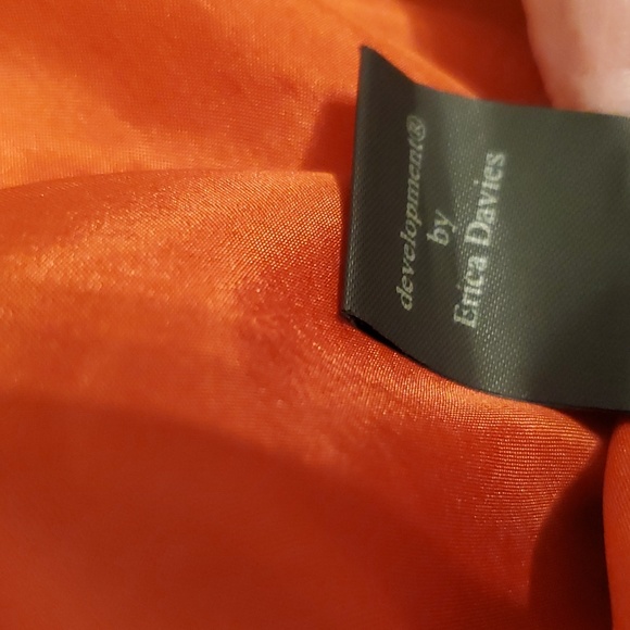 🧡Development By Erica Davies Silk Dress - Picture 8 of 12